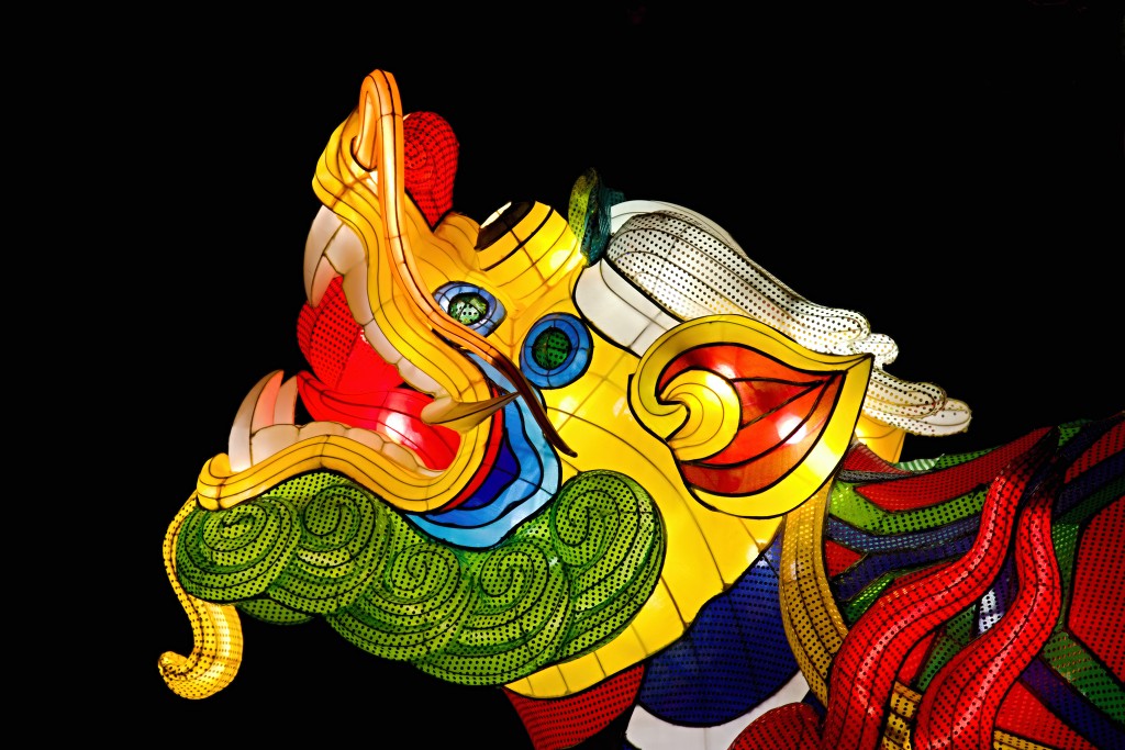 china light licht festival lichtshow show festiviteit glow evenement event chinees chinese verlichting draak dragon lichtfestival zoo